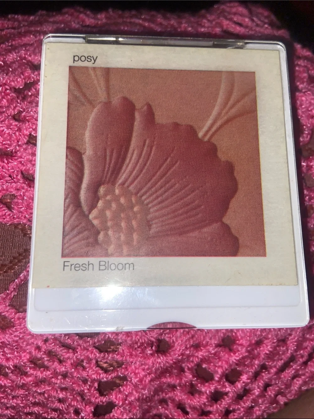 Clinique 02 Posy  Fresh Broom Allover Colour